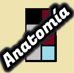 Anatomía Aplicada de 1º de Bachillerato